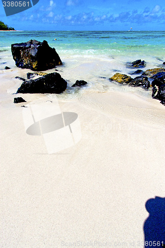 Image of beach ile du cerfs seaweed in indian    sky and rock