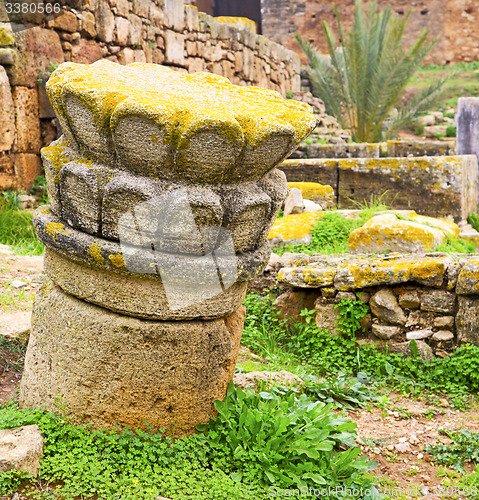 Image of chellah  in morocco africa the old roman deteriorated monument a