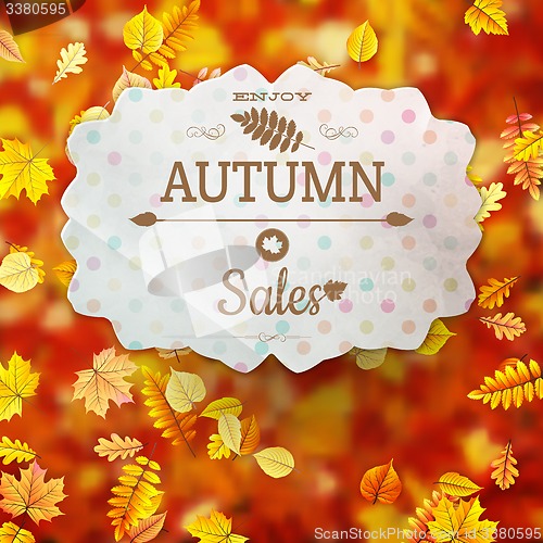 Image of Autumn fall sale poster. EPS 10
