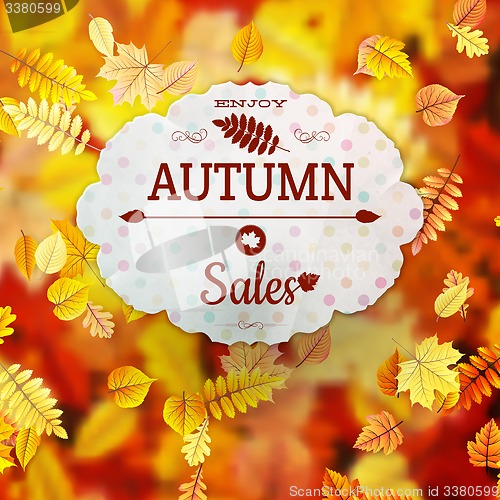 Image of Sale with autumn leaves. EPS 10