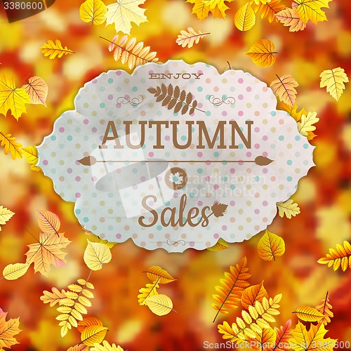 Image of Autumn Sale template. EPS 10