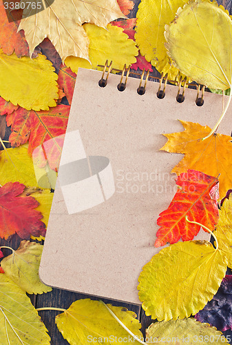 Image of autumn background