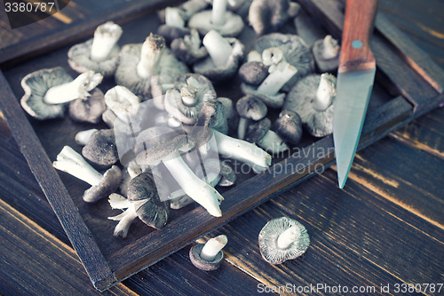 Image of raw mushrooms