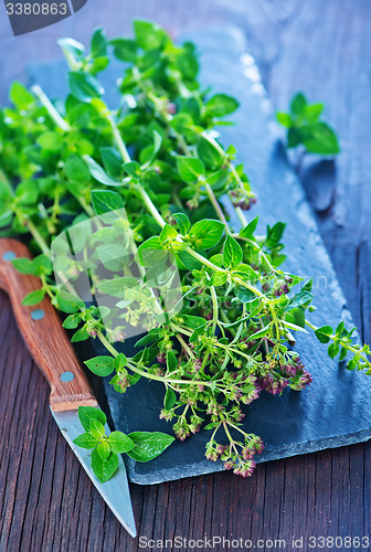 Image of marjoram