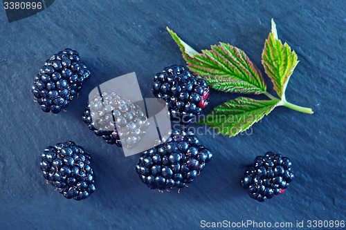 Image of blackberry