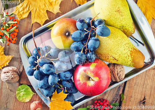 Image of autumn harvest