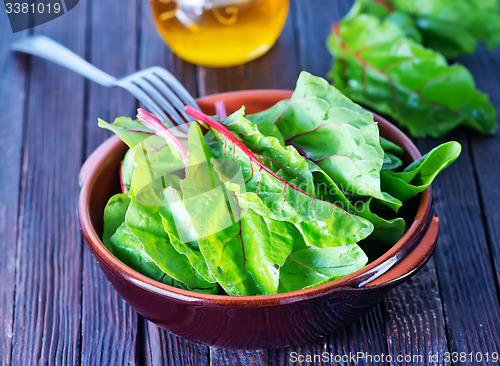 Image of fresh spinach