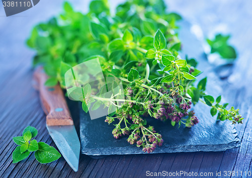 Image of marjoram