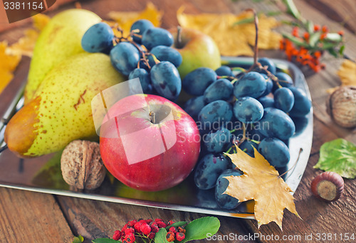 Image of autumn harvest
