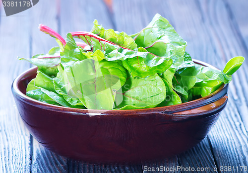 Image of fresh spinach