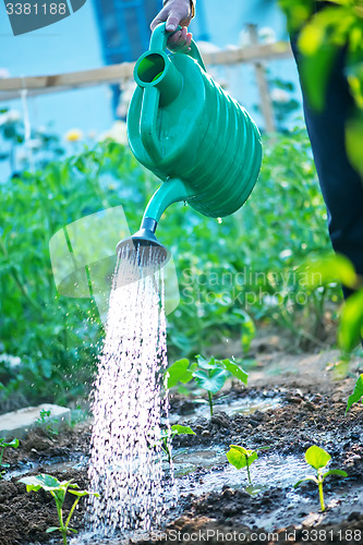 Image of a man is watering garden