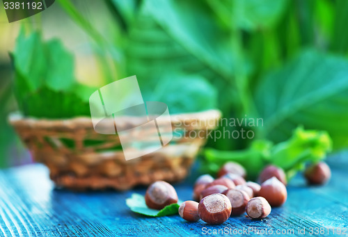 Image of hazelnuts