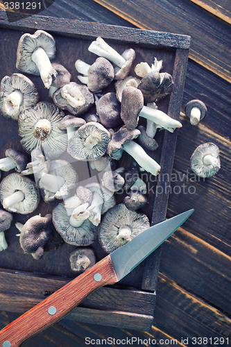 Image of raw mushrooms