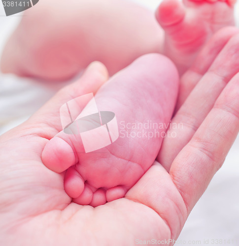 Image of feets of newborn baby