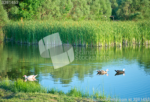 Image of Lake