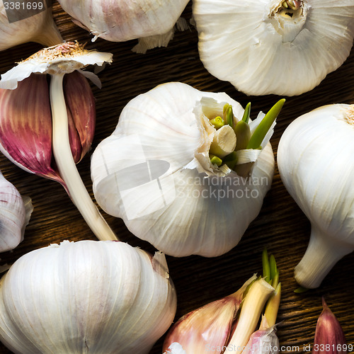 Image of Garlic