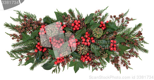 Image of Traditional Winter Flora