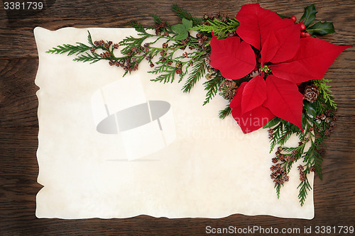 Image of Poinsettia Flower Border