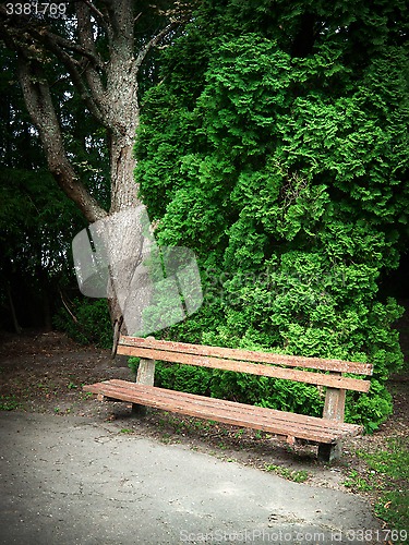 Image of old wooden bench 