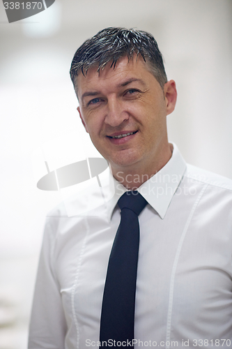 Image of business man portrait