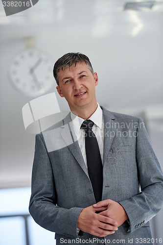 Image of business man portrait