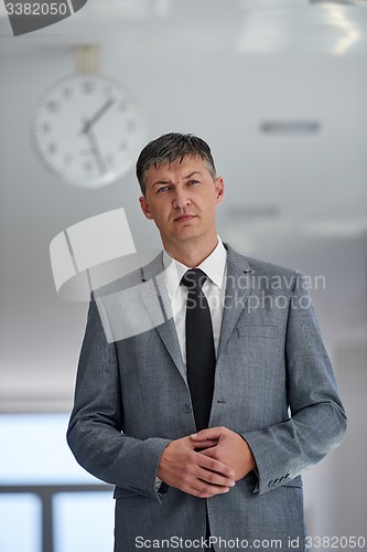 Image of business man portrait