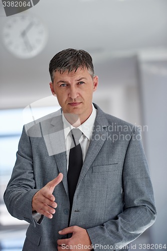 Image of business man portrait