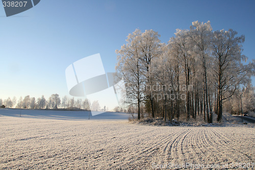 Image of Winter