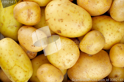 Image of Yellow Potatoes Background