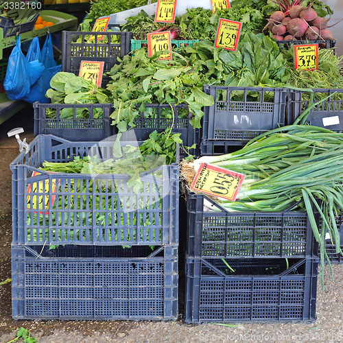 Image of Leafy Vegetables