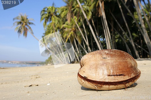 Image of Coconut Beach