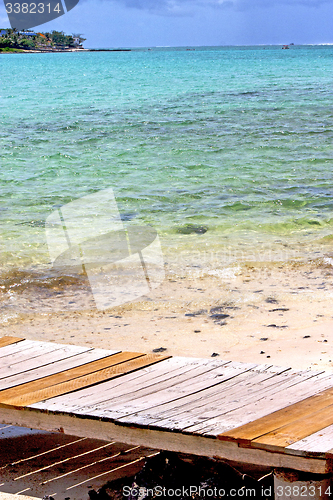 Image of lagoon  beach seaweed in pier