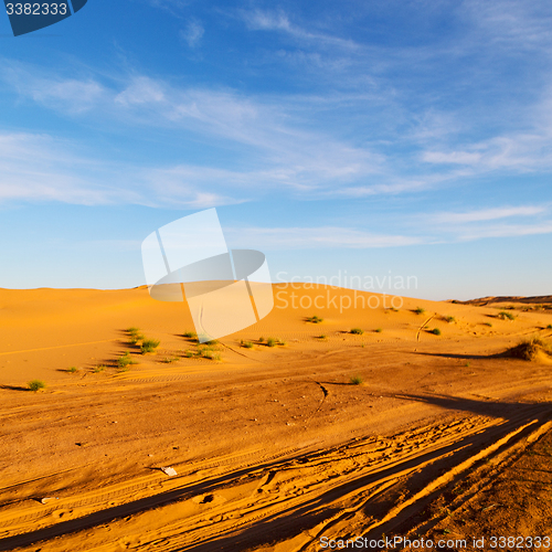 Image of sunshine in the lake yellow  desert of morocco sand and     dune