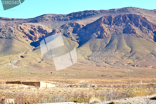 Image of bush  in    valley  morocco     africa the atlas mountain  