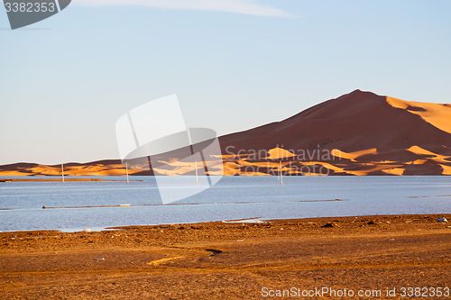 Image of   in the lake yellow  desert  and     dune