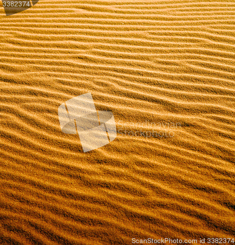 Image of the brown sand dune in the sahara morocco desert 