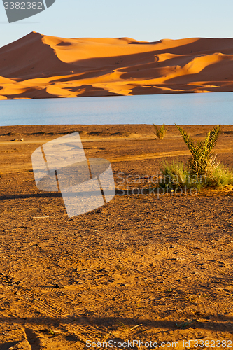 Image of sunshine in the  yellow  desert   morocco sand       dune
