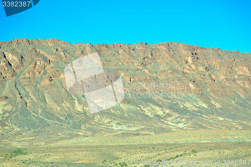 Image of bush  in    valley  morocco     africa 