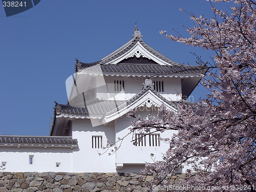 Image of japanese castle in spring-time