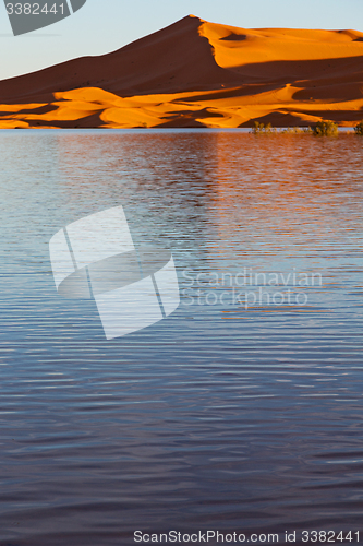 Image of   in the lake yellow  desert   morocco sand and     dune