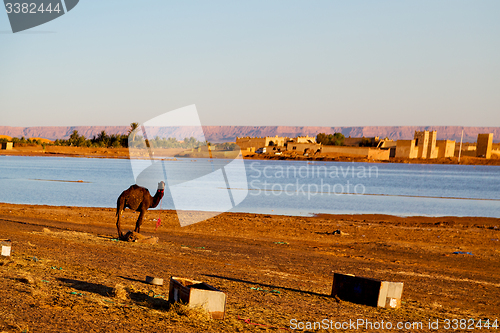 Image of sunshine in the lake   desert  sand and     dune