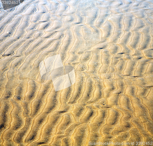 Image of dune morocco in africa brown coastline wet sand beach near atlan