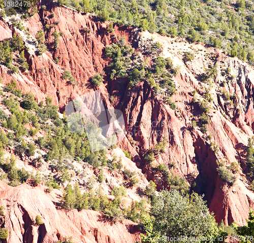 Image of the    dades valley in atlas moroco africa ground tree  and nobo