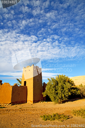 Image of africa in tree  historical village