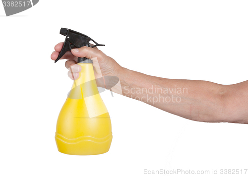 Image of Sprayer in the hand of an old woman