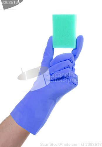 Image of Mans hand in rubber glove with sponge isolated