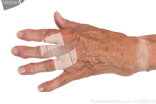 Image of Hand of an old woman