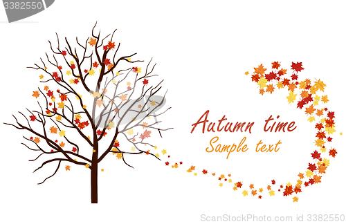 Image of Autumn