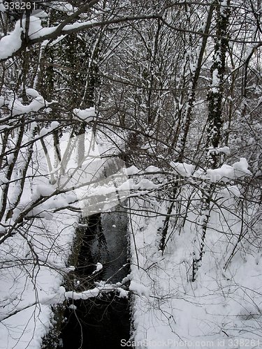 Image of snowy wood