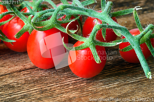 Image of Tomato